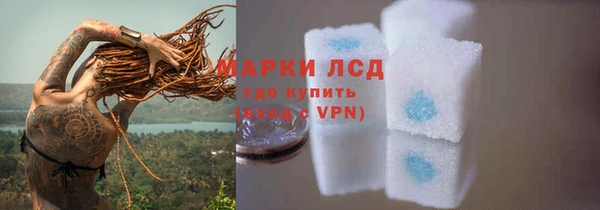 спайс Баксан