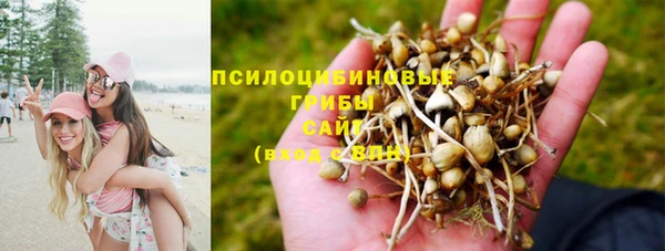 спайс Баксан